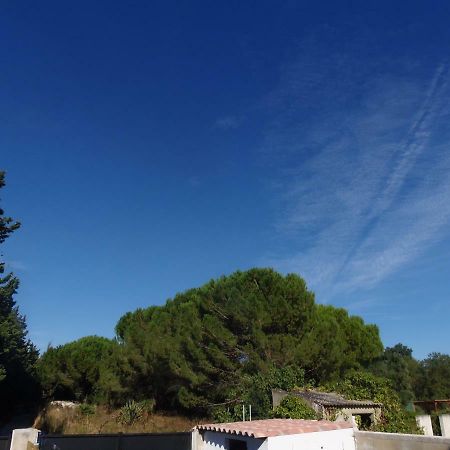 Apartamento Joli Mazet Entre Montpellier Et Nimes Aimargues Exterior foto